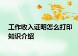 工作收入證明怎么打印知識(shí)介紹