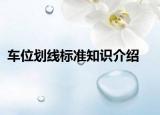 車(chē)位劃線標(biāo)準(zhǔn)知識(shí)介紹