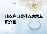 非農(nóng)戶口是什么意思知識介紹