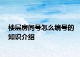 樓層房間號怎么編號的知識介紹