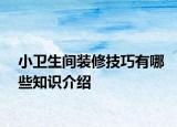 小衛(wèi)生間裝修技巧有哪些知識介紹