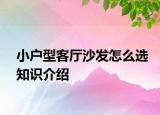 小戶型客廳沙發(fā)怎么選知識(shí)介紹
