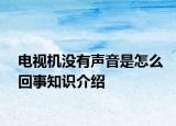 電視機(jī)沒(méi)有聲音是怎么回事知識(shí)介紹