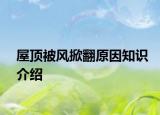 屋頂被風(fēng)掀翻原因知識介紹