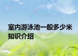 室內(nèi)游泳池一般多少米知識介紹