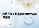 冰箱亮燈不制冷的原因是什么知識介紹