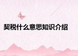 契稅什么意思知識(shí)介紹