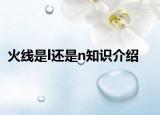 火線是l還是n知識介紹