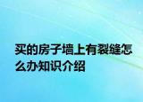 買(mǎi)的房子墻上有裂縫怎么辦知識(shí)介紹