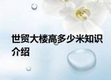 世貿(mào)大樓高多少米知識介紹