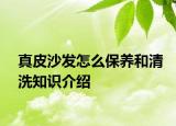 真皮沙發(fā)怎么保養(yǎng)和清洗知識介紹