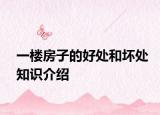 一樓房子的好處和壞處知識介紹