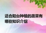 適合陽(yáng)臺(tái)種植的蔬菜有哪些知識(shí)介紹