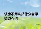 認房不用認貸什么意思知識介紹