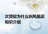 次頂層為什么叫鳳凰層知識(shí)介紹