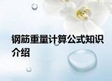 鋼筋重量計(jì)算公式知識(shí)介紹