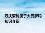 雙慶瓷磚屬于大品牌嗎知識介紹
