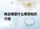 商業(yè)樓是什么意思知識介紹