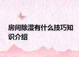 房間除濕有什么技巧知識介紹