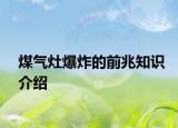 煤氣灶爆炸的前兆知識(shí)介紹