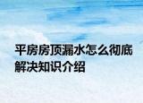 平房房頂漏水怎么徹底解決知識介紹
