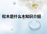 松木是什么木知識(shí)介紹