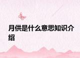 月供是什么意思知識介紹