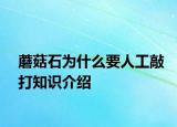 蘑菇石為什么要人工敲打知識介紹