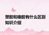 塑膠和橡膠有什么區(qū)別知識(shí)介紹