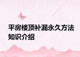 平房樓頂補漏永久方法知識介紹