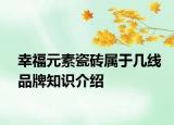幸福元素瓷磚屬于幾線品牌知識(shí)介紹