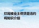爛尾樓業(yè)主停貸是違約嗎知識介紹