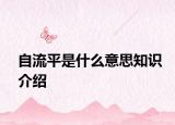 自流平是什么意思知識介紹