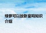 綠蘿可以放臥室嗎知識(shí)介紹