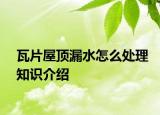瓦片屋頂漏水怎么處理知識(shí)介紹