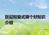 躍層和復(fù)式哪個(gè)好知識(shí)介紹