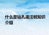 什么是鉆孔灌注樁知識介紹