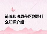 箭牌和法恩莎區(qū)別是什么知識(shí)介紹