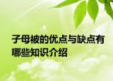 子母被的優(yōu)點(diǎn)與缺點(diǎn)有哪些知識(shí)介紹
