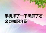 手機(jī)摔了一下黑屏了怎么辦知識(shí)介紹