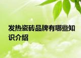 發(fā)熱瓷磚品牌有哪些知識(shí)介紹