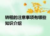 轉(zhuǎn)租的注意事項有哪些知識介紹
