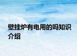壁掛爐有電用的嗎知識(shí)介紹