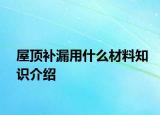 屋頂補(bǔ)漏用什么材料知識介紹
