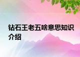 鉆石王老五啥意思知識(shí)介紹