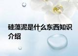 硅藻泥是什么東西知識介紹
