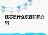 枕芯是什么東西知識(shí)介紹