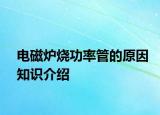 電磁爐燒功率管的原因知識介紹