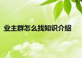 業(yè)主群怎么找知識介紹