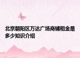 北京朝陽區(qū)萬達(dá)廣場商鋪?zhàn)饨鹗嵌嗌僦R(shí)介紹